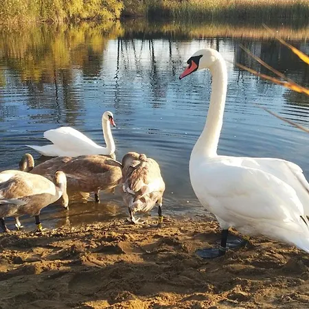 아파트 Calm And Cozy 크라쿠프